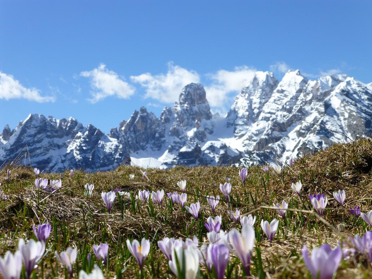 Hotel Edelweiss Braies  Zewnętrze zdjęcie